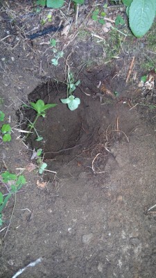 12062012080.jpg