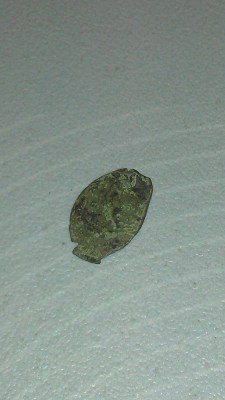 IMAG0386.jpg