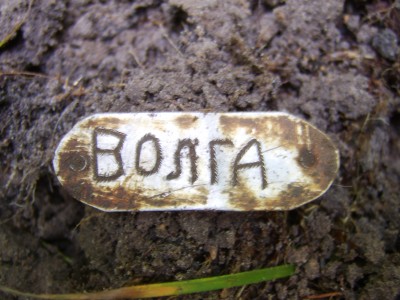 STA78141.JPG
