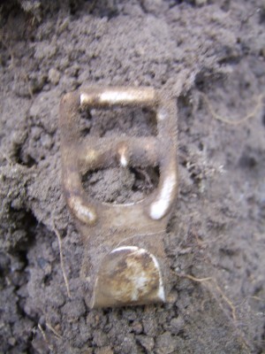 STA78142.JPG