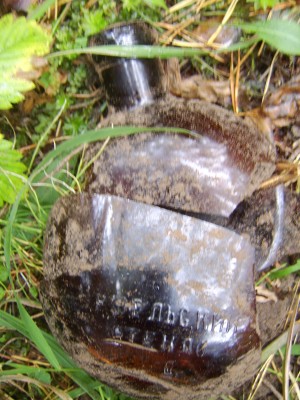 STA78144.JPG