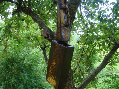 tn 072.jpg