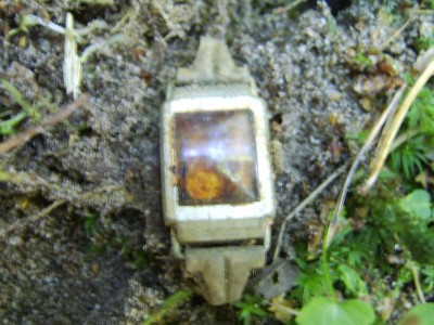 STA78151.JPG