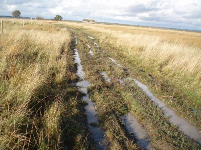 Сааремаа 2012 023.jpg