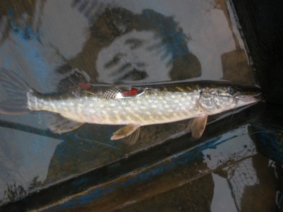 PA040799.JPG