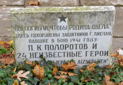 plaksne5.jpg