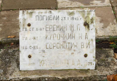 plaksne1.jpg
