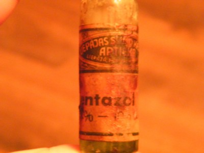 DSCF0022.JPG