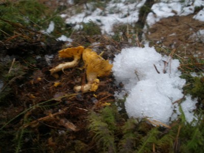PB010911.JPG